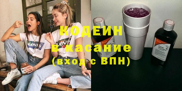 ПСИЛОЦИБИНОВЫЕ ГРИБЫ Арсеньев