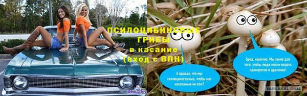 ПСИЛОЦИБИНОВЫЕ ГРИБЫ Арсеньев