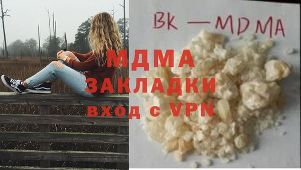 ПСИЛОЦИБИНОВЫЕ ГРИБЫ Арсеньев