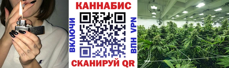 МАРИХУАНА OG Kush mega Гаврилов Посад наркотики